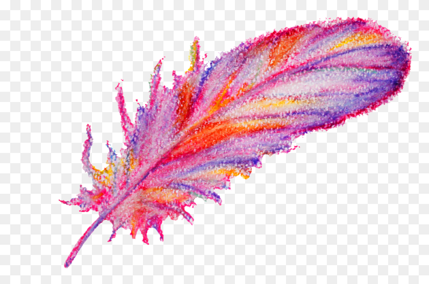 967x617 Art, Leaf, Plant, Purple HD PNG Download