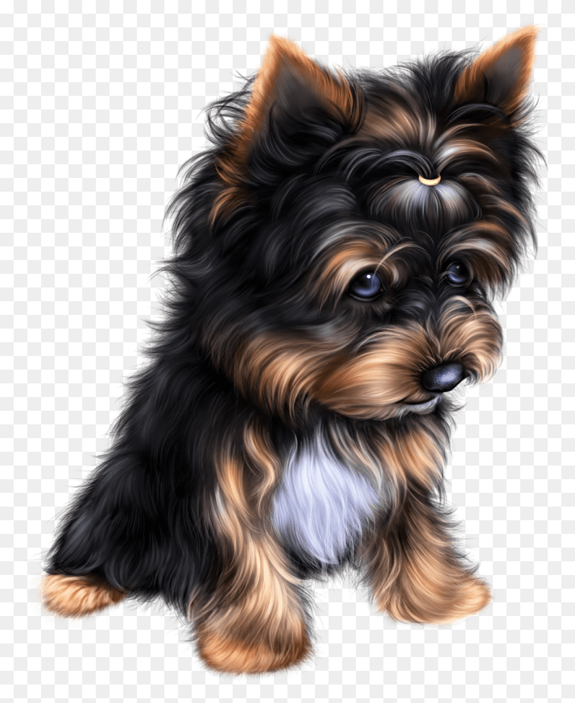 985x1222 Art Id Puppy, Dog, Pet, Canine HD PNG Download