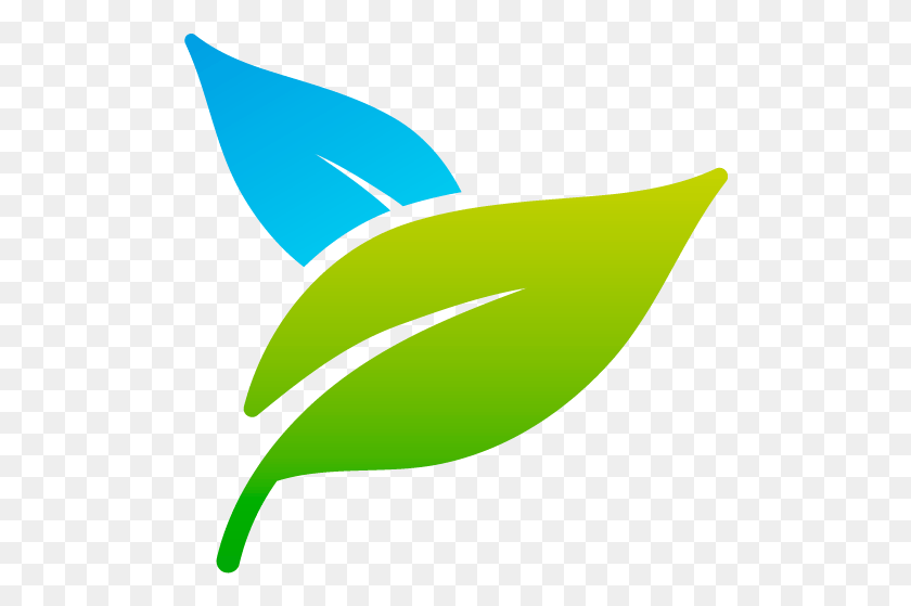 502x499 Art Pho 800px Notxt Nobg Photosynthesis Logo, Animal, Plant, Graphics HD PNG Download