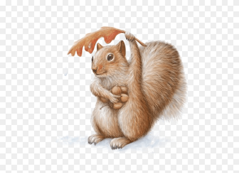 512x549 Art Watercolor Painting Squirrel Drawing Front, Rodent, Mammal, Animal HD PNG Download