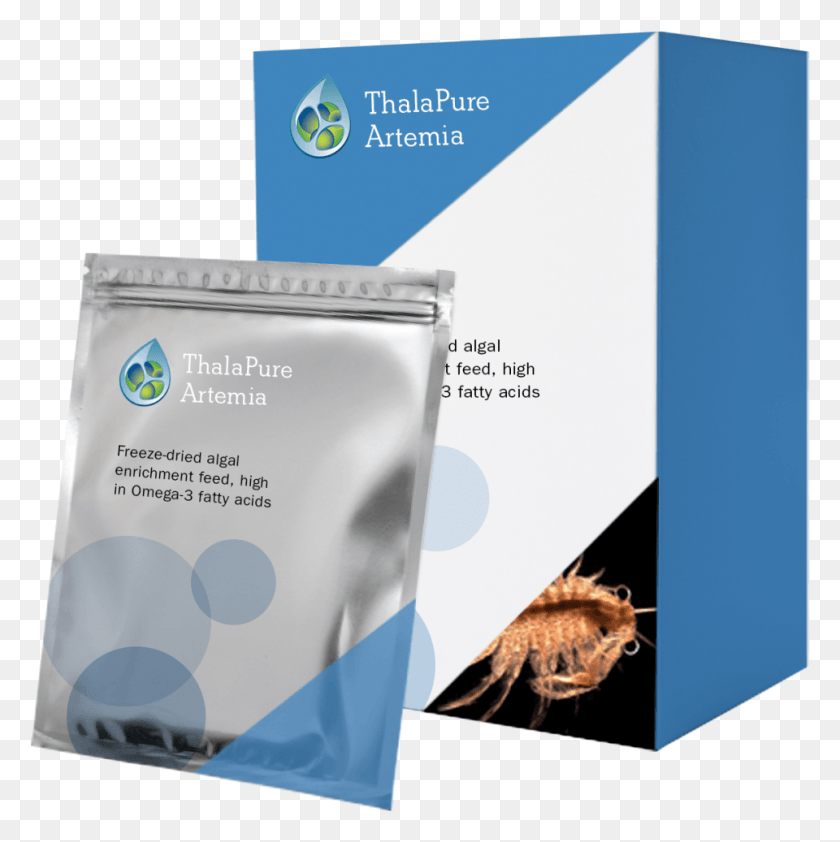 960x963 Artemia Thalapure Shrimp, Bird, Animal, Text HD PNG Download