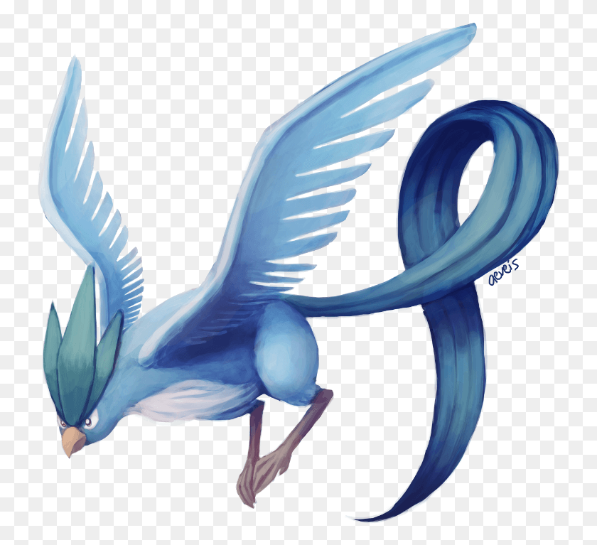 737x707 Aves Marinas Articuno, Aves, Animales, Dragón Hd Png