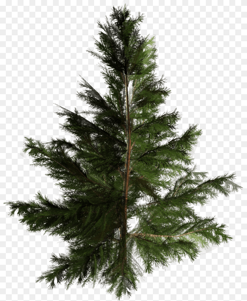 Artificial Christmas Tree Pine Pinales Tree Download Pinales, Fir, Plant, Conifer Clipart PNG
