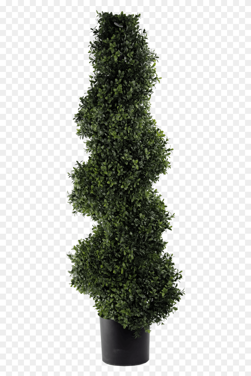 406x1195 Artificial Deluxe Spiral Boxwood Topiary Hedge, Bush, Vegetation, Plant HD PNG Download