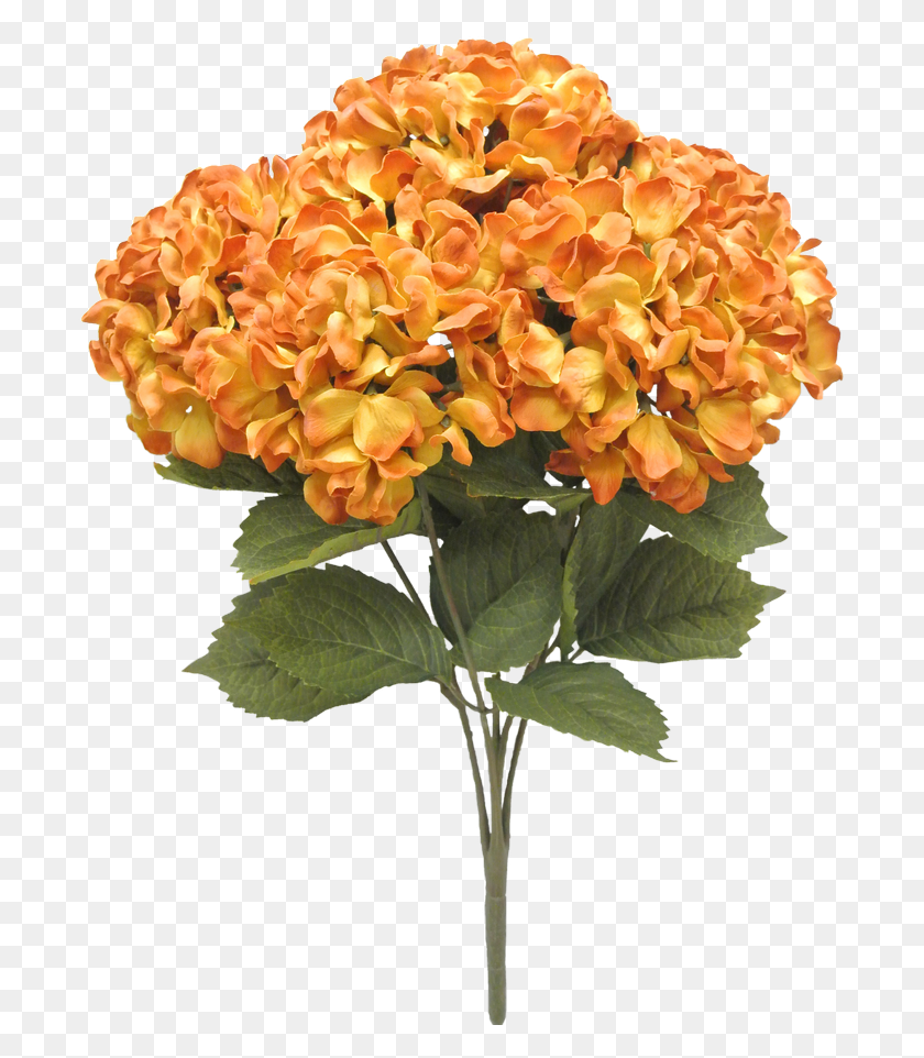 700x902 Искусственный Цветок, Растение, Цветение, Цветочная Композиция Hd Png Скачать