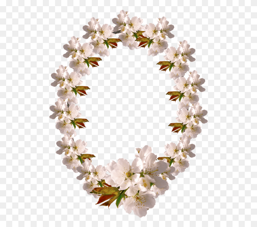 521x680 Flores Artificiales, Planta, Pétalo, Pétalo Hd Png