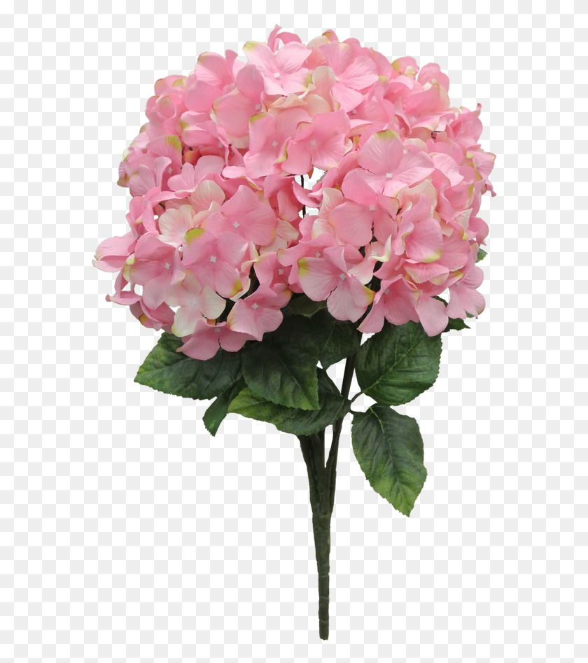 584x887 Искусственный Цветок, Герань, Растение, Цветение Hd Png Скачать