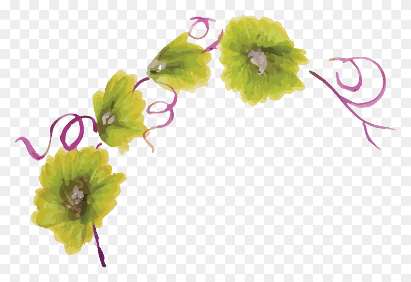 1635x1083 Artificial Flower, Plant, Graphics HD PNG Download