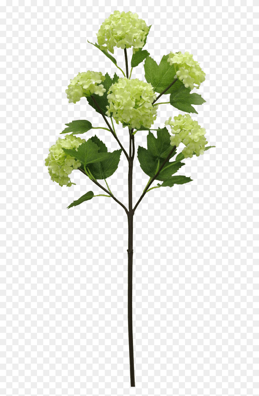 562x1225 Artificial Flower, Plant, Blossom, Leaf HD PNG Download