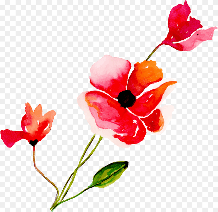 858x835 Artificial Flower, Petal, Plant Clipart PNG