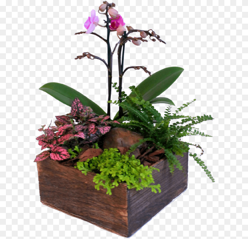 Artificial Flower, Flower Arrangement, Ikebana, Plant, Potted Plant Transparent PNG