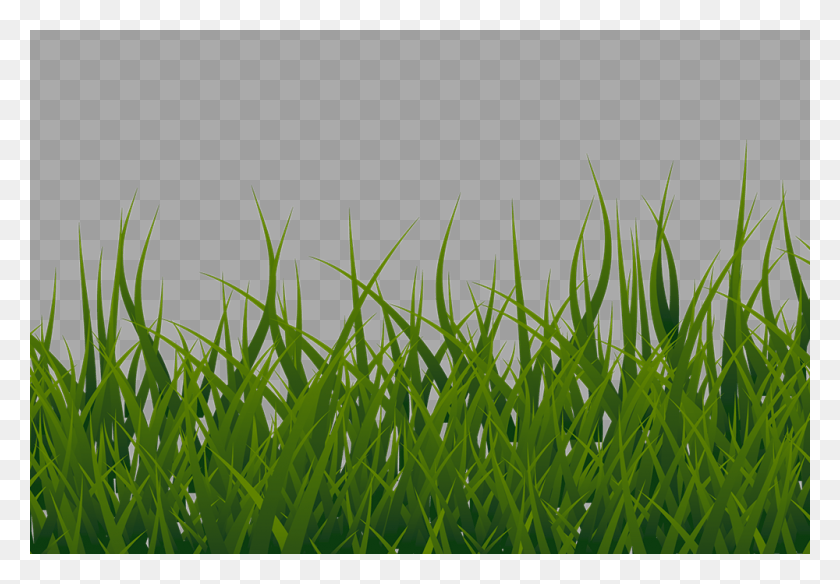 1000x673 Artificial Grass Silk35 Grass Clipart Transparent Background, Plant, Lawn, Green HD PNG Download