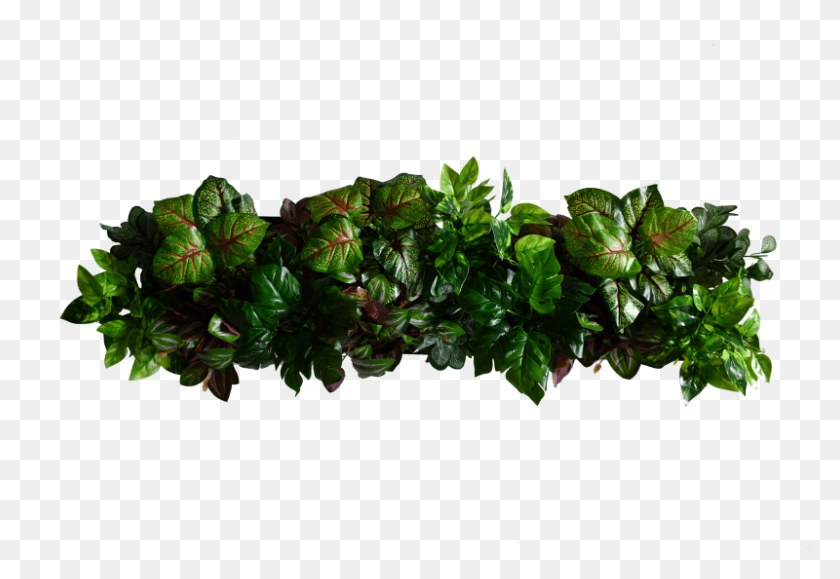 800x533 Искусственная Зеленая Стена Домашний Декор Вазон, Лист, Растение, Дерево Hd Png Скачать