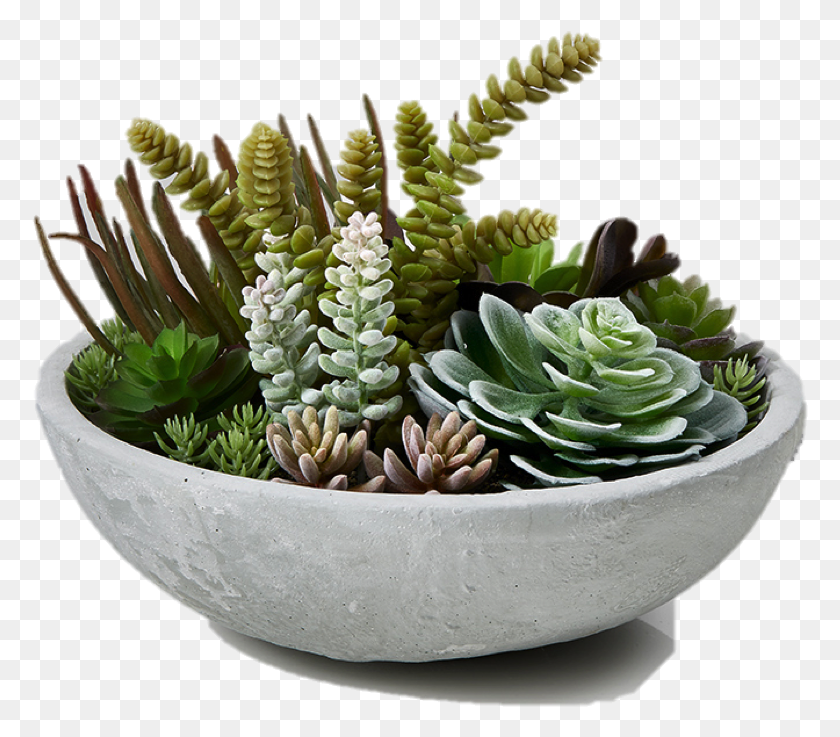 777x677 Artificial Mini Succulent Garden In Cement Bowl Faux Bowl Of Succulents, Plant, Tabletop, Furniture HD PNG Download