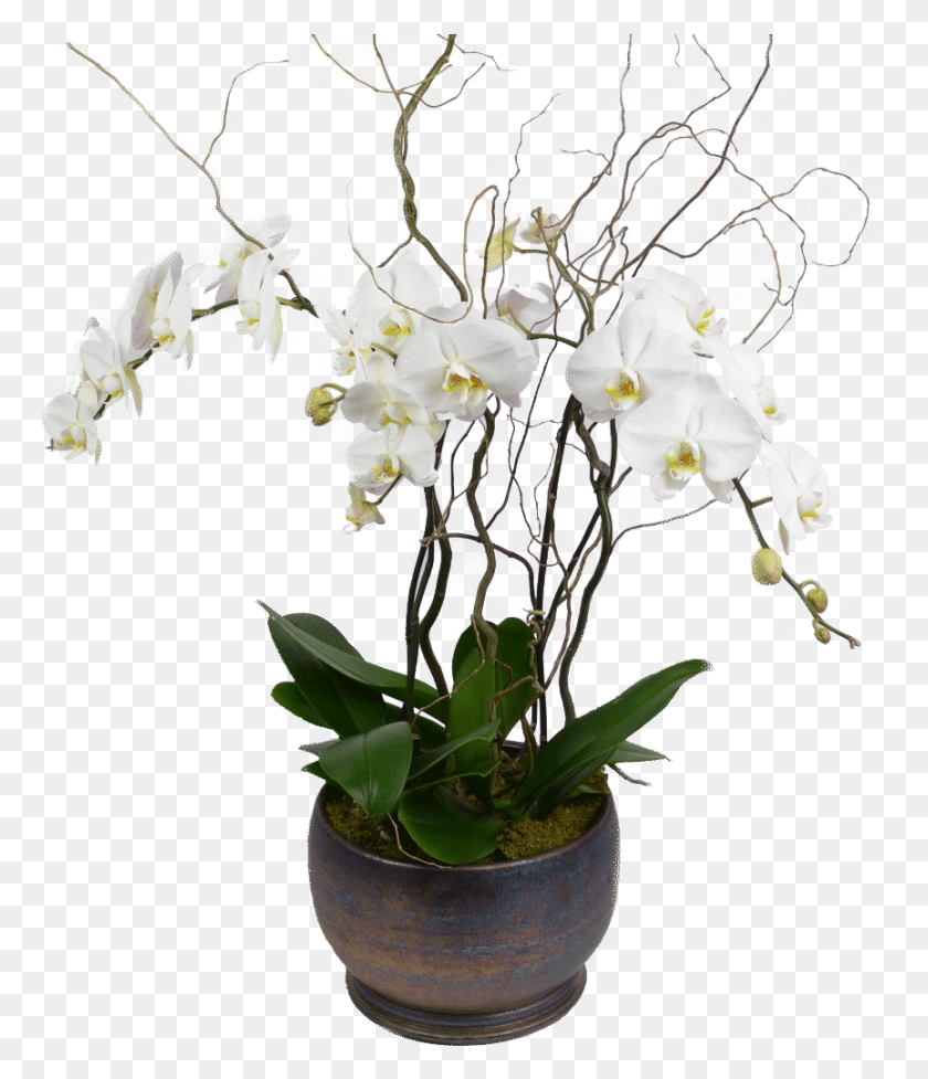 864x1016 Artificial Orchid With Pot, Plant, Flower, Blossom HD PNG Download