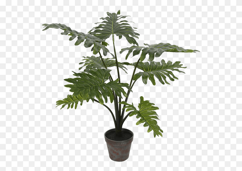 558x534 Artificial Potted Grand Floor Philodendron Tree In Philodendron Faux, Plant, Leaf, Fern Descargar Hd Png
