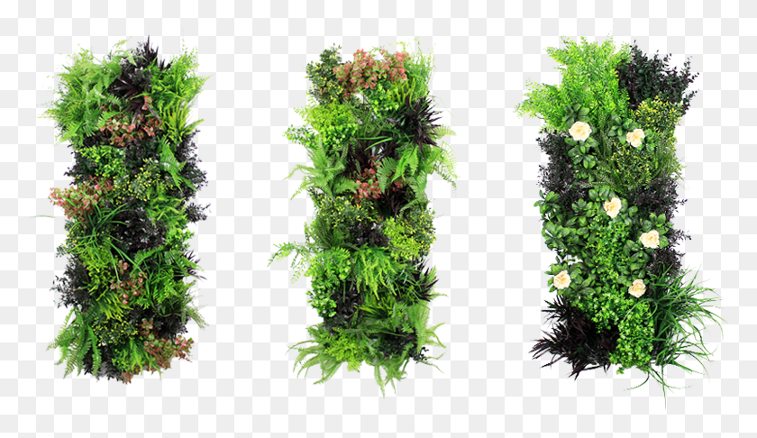 777x426 Искусственный Вертикальный Сад, Растение, Куст, Растительность Hd Png Скачать