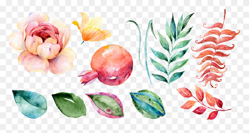 2875x1441 Акварельная Краска Цветочный Рисунок Граната, Лист, Растение, Цветение Png Скачать