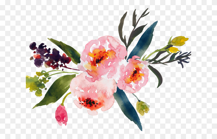 640x480 Акварельная Краска На Прозрачном Фоне, Акварель, Цветы, Растение, Цветок, Цветение Png Скачать