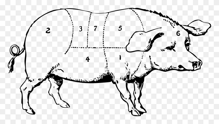 1402x750 Artmonochrome Photographycarnivoran Draw And Label A Pig, Gray, World Of Warcraft HD PNG Download