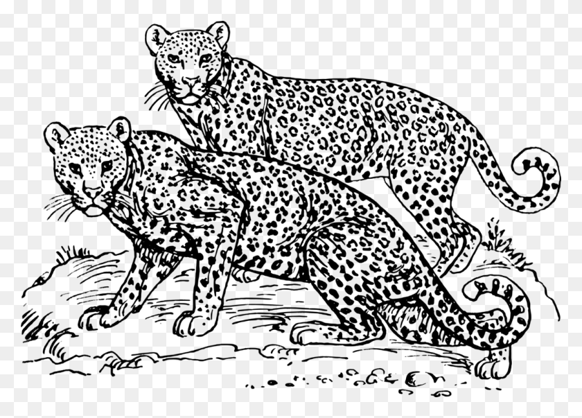 1076x750 Artwild Catcarnivoran Leopards Clipart Black And White, Gray, World Of Warcraft HD PNG Download