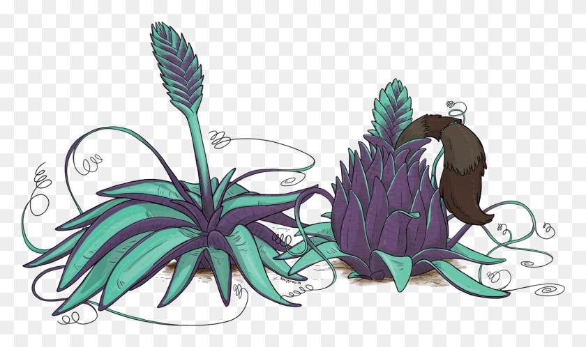 1203x677 Иллюстрация Кори Бинга Бромелиевые Болото, Растение, Растительность, Узор Hd Png Скачать