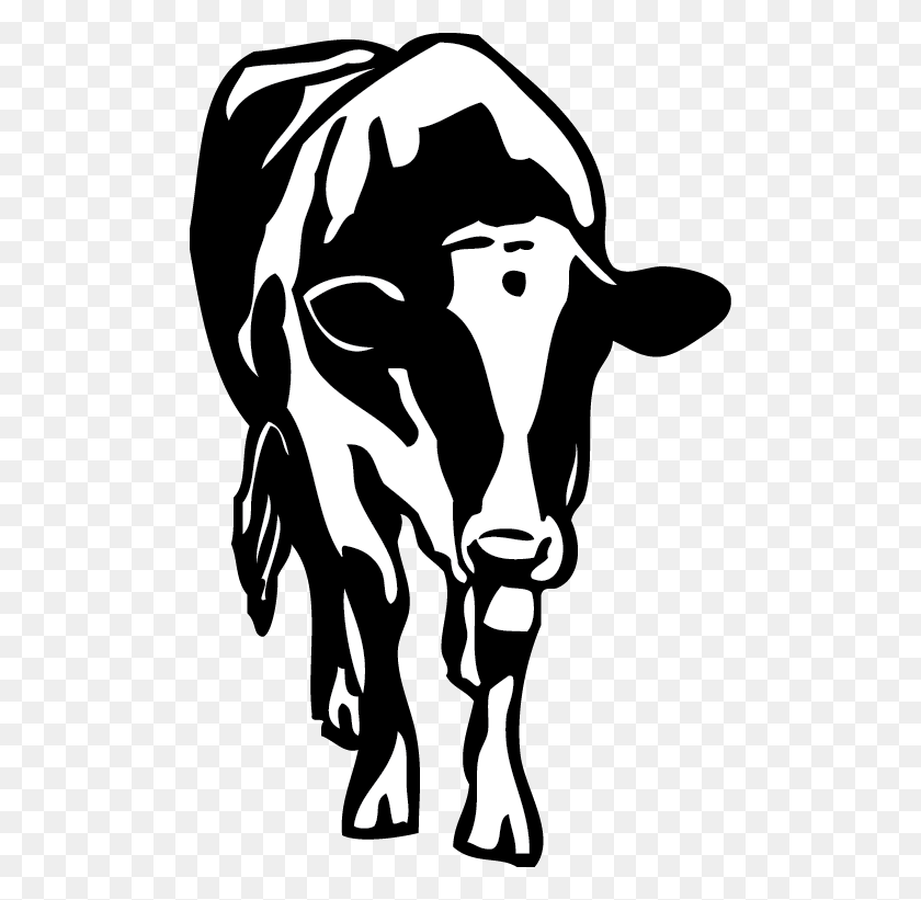 494x761 Png Корова, Трафарет, Крупный Рогатый Скот, Млекопитающее Hd Png Скачать