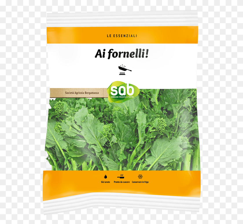 548x714 Arugula, Kale, Cabbage, Vegetable HD PNG Download