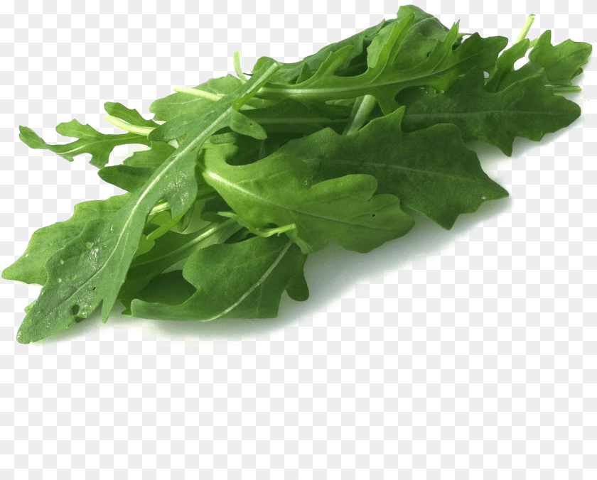 2019x1624 Arugula Images Arugula, Food, Leafy Green Vegetable, Plant, Produce Transparent PNG
