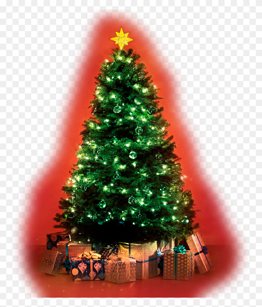 843x1000 Descargar Png / Arvore De Natal Christmas Tree, Tree, Ornamento, Planta Hd Png