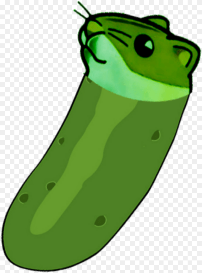 1176x1585 As In The Hamsterpickle Rick Rick And Kirby, Food, Cucumber, Plant, Produce PNG