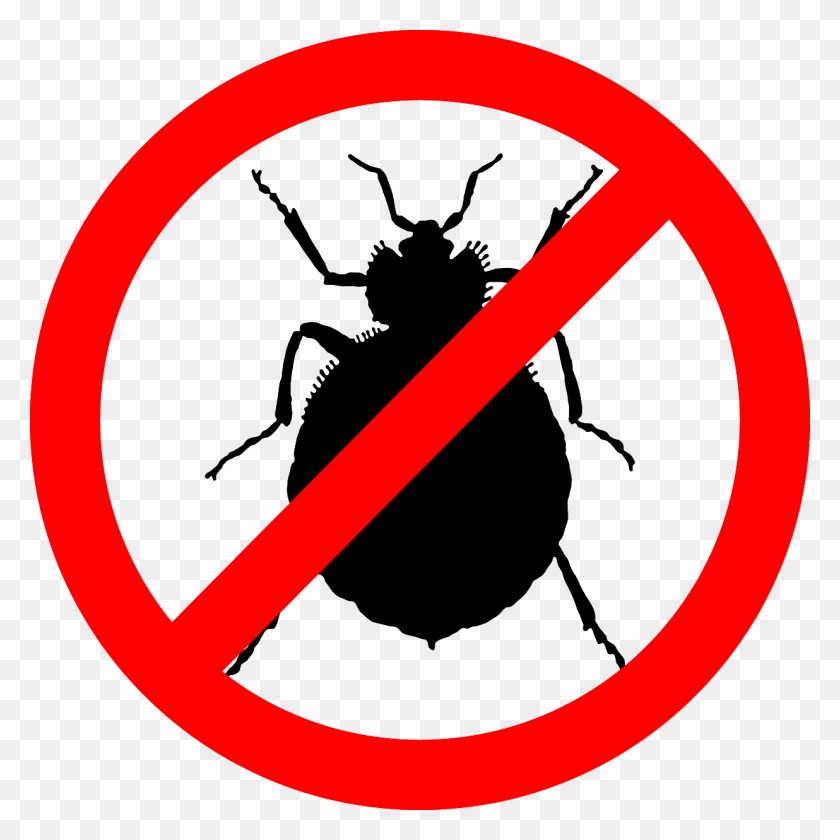 1236x1236 As The Developers Of The Game Are Just Human As Well Bed Bug Stop, Symbol, Road Sign, Sign HD PNG Download