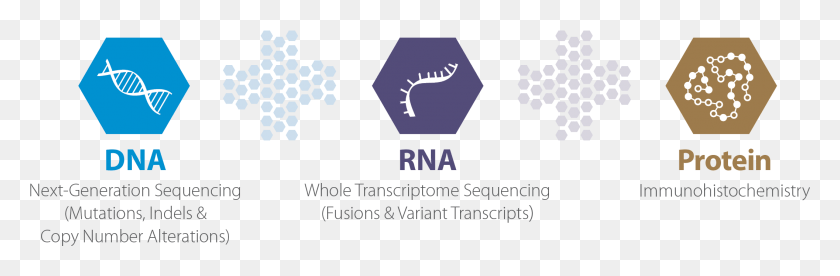 2113x586 As The First And Most Experienced Tumor Profiling Service Dna Rna Protein, Light, Text, Crowd HD PNG Download