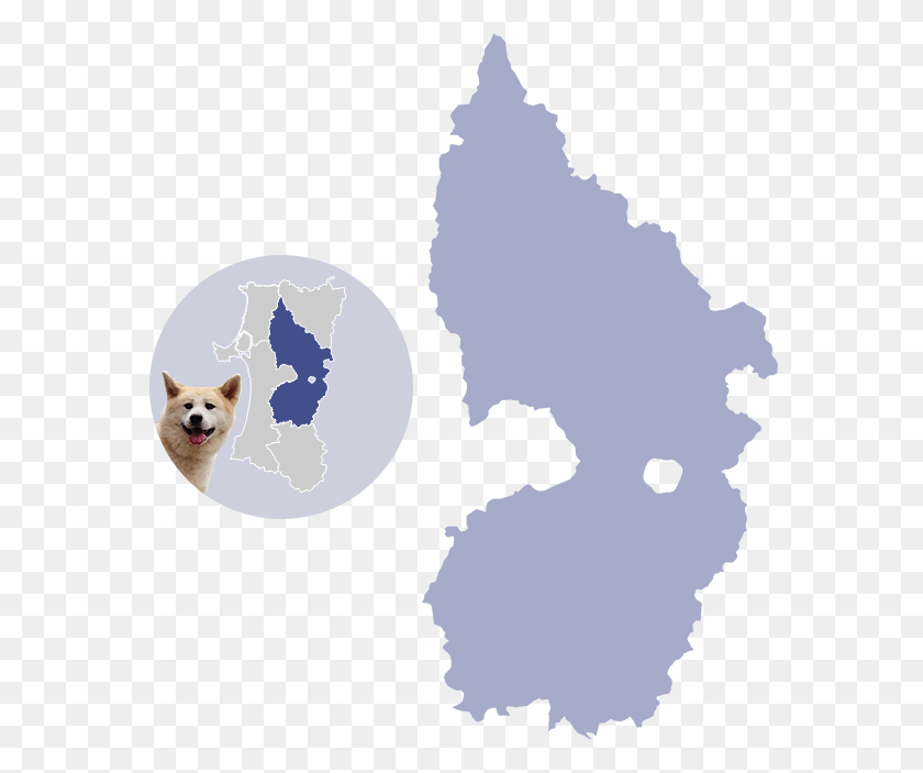 576x643 As You Travel Around This Region Known As The Neighborhood American Eskimo Dog, Pet, Canine, Animal HD PNG Download