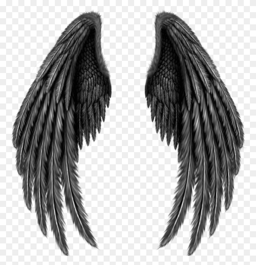 984x1024 Asa Sticker Black Angel Wings, Bird, Animal HD PNG Download