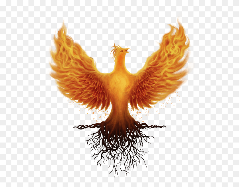 536x596 Ashes Of Creation Phoenix, Pattern, Ornament, Chicken HD PNG Download