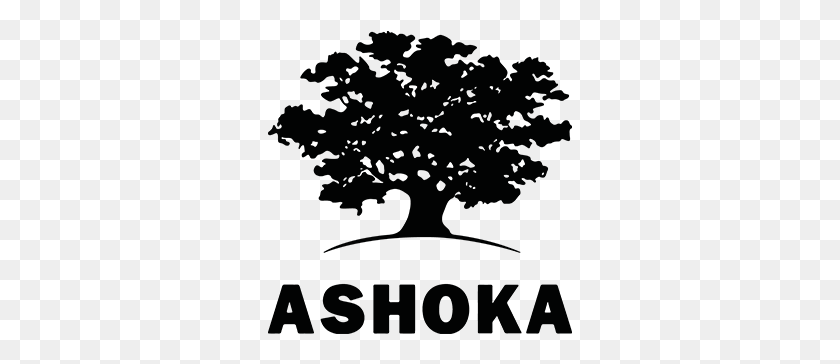 305x304 Ashoka Spain Ashoka Africa Young Changemakers, Outdoors, Nature, Astronomy HD PNG Download