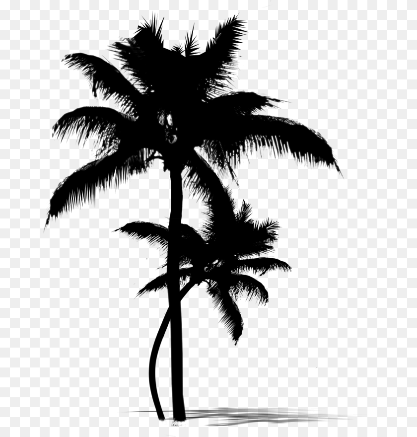 668x880 Asian Palmyra Palm Date Palm Leaf Palm Trees Silhouette Island Palm Trees Silhouette, Gray Transparent PNG