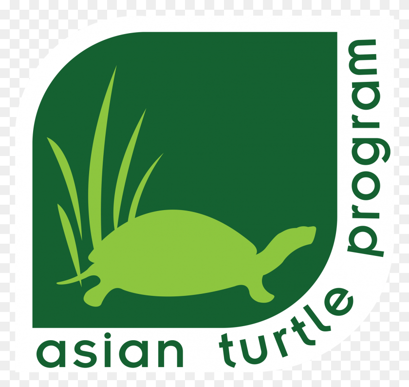 1723x1623 Asian Turtle Program Tortoise, Animal, Reptile, Sea Life HD PNG Download