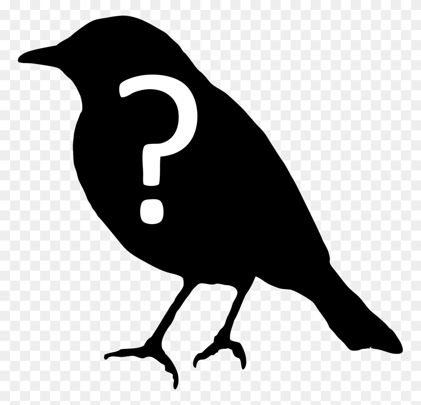 771x748 Pregunte A Un Ornitólogo, Pájaro, Animal Hd Png