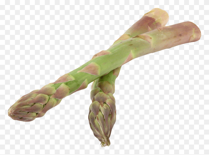 1656x1195 Asparagus, Plant, Vegetable, Food HD PNG Download