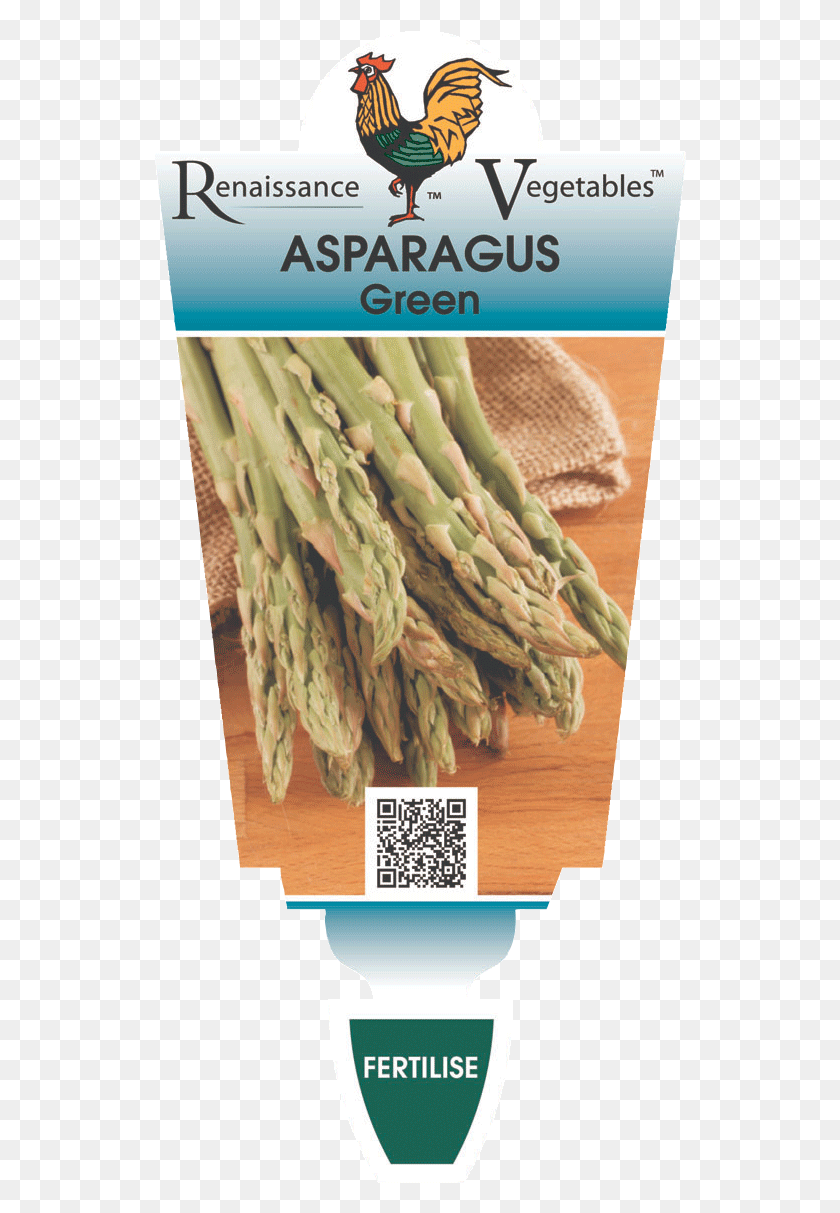 532x1153 Asparagus Green, Plant, Bird, Animal HD PNG Download
