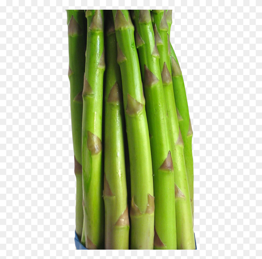 425x769 Asparagus Image Bamboo, Plant, Vegetable, Food HD PNG Download