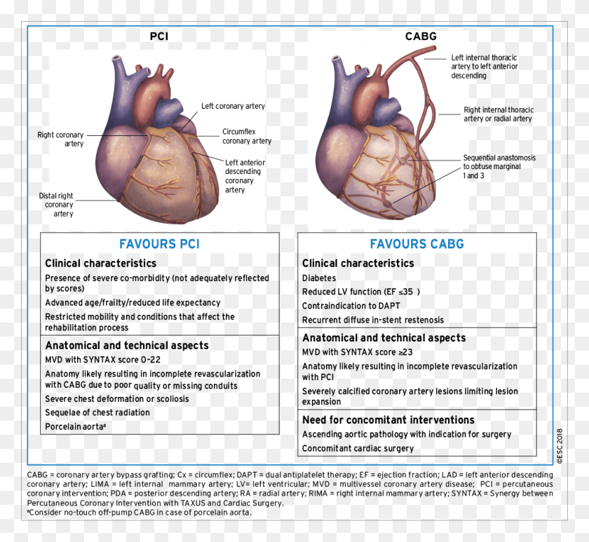 1004x919 Aspects To Be Considered By The Heart Team For Decision Making Coronary Artery Bypass Surgery, Text, Diagram, Plot HD PNG Download
