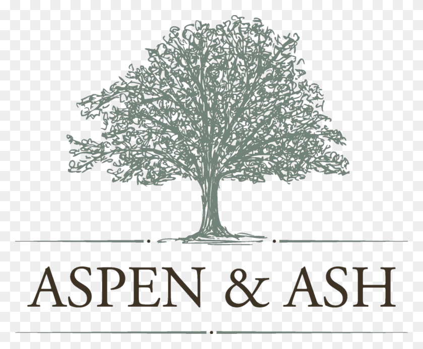 1024x833 Aspen And Ash Orient Machine Logo, Tree, Plant, Tabletop HD PNG Download