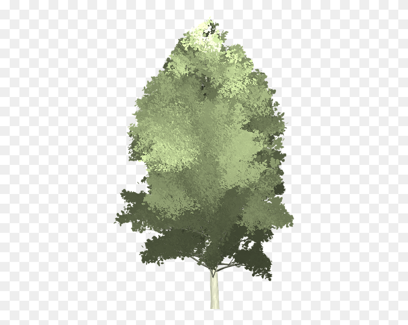 377x610 Aspen Tree Painted Tree Nature Green Tree, Ice, Outdoors, Plant HD PNG Download