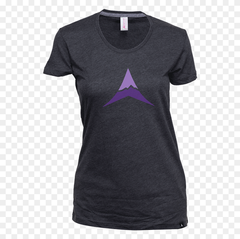 542x777 Aspinwall Great Divide Womens T Shirt Charcoal 4 Triangle, Clothing, Apparel, Sleeve HD PNG Download