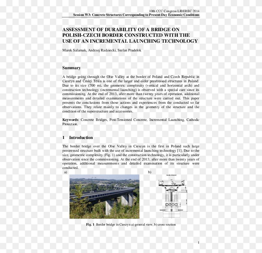 445x752 Assessment Of Durability Of A Bridge On Polish Czech Tree, Road, Freeway, Building Descargar Hd Png