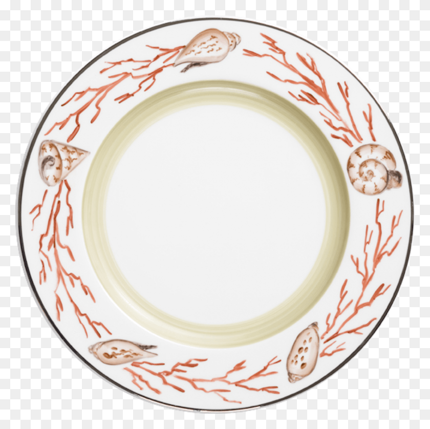 1082x1080 Assiettes Frise Coquillage Marie Da Ge Dishes Circle, Porcelain, Pottery HD PNG Download