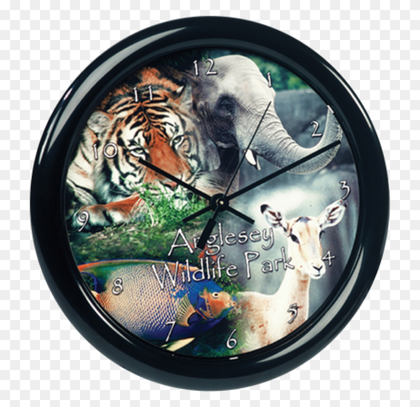 723x754 Assorted Clocks Wall Clock, Analog Clock, Tiger, Wildlife HD PNG Download